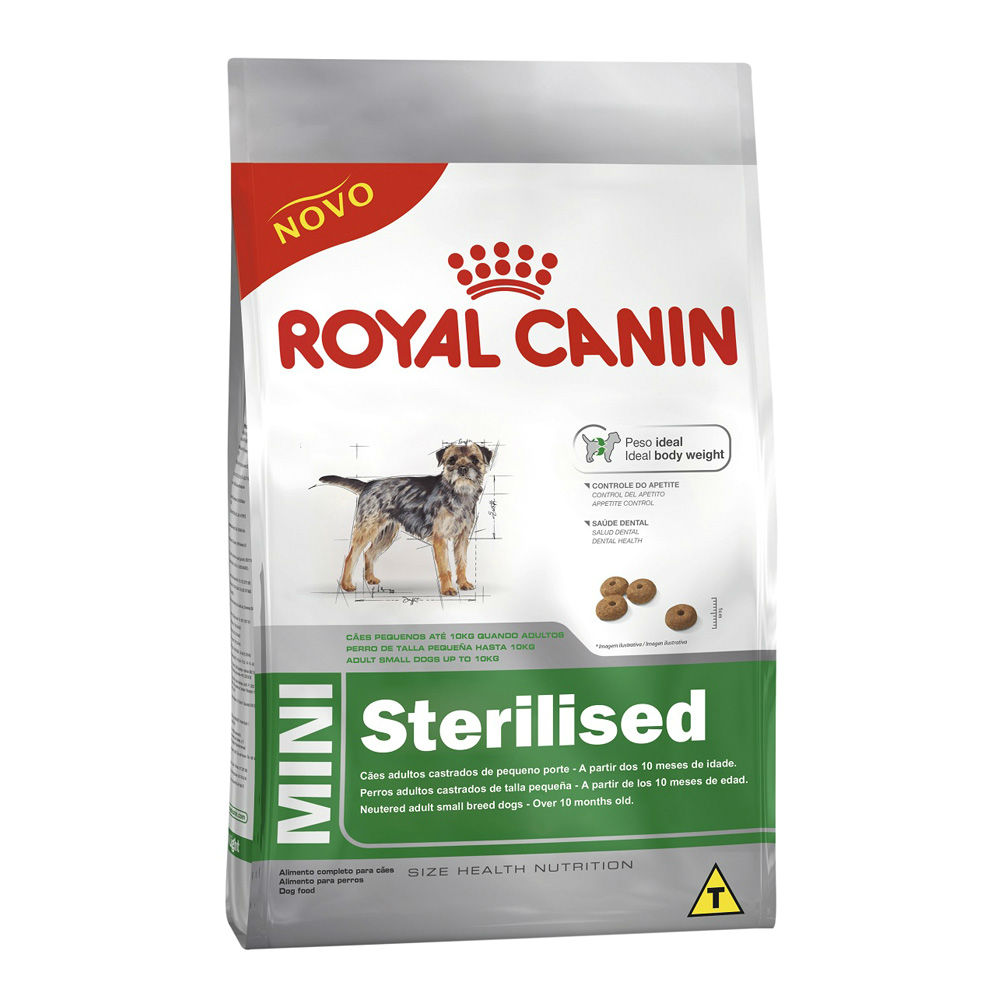 dog sweaters for mastiffs