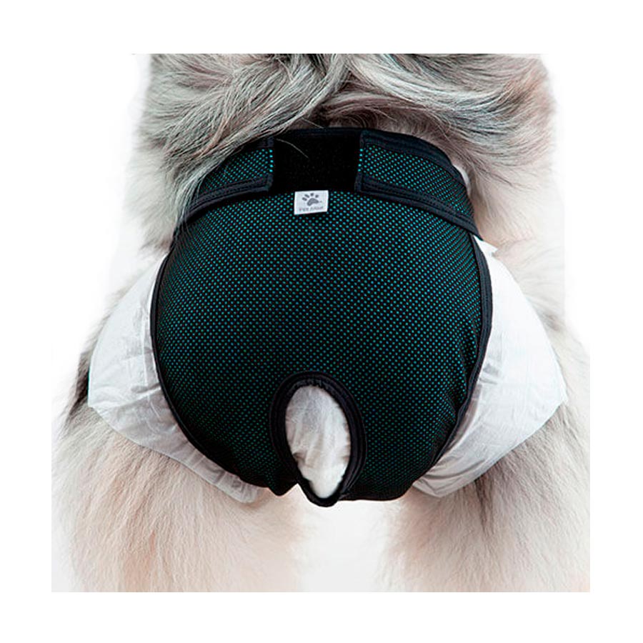 Fralda para cachorro no cio: proteção para seu pet | Petz