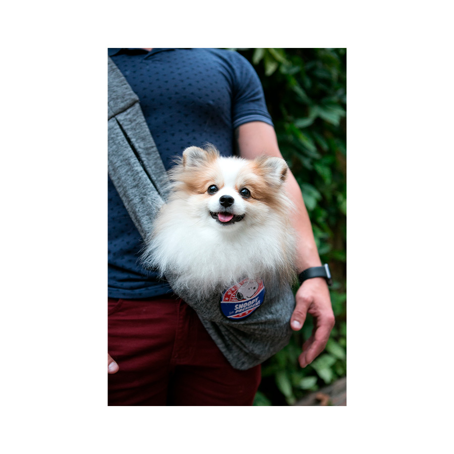 cane sling bolsa