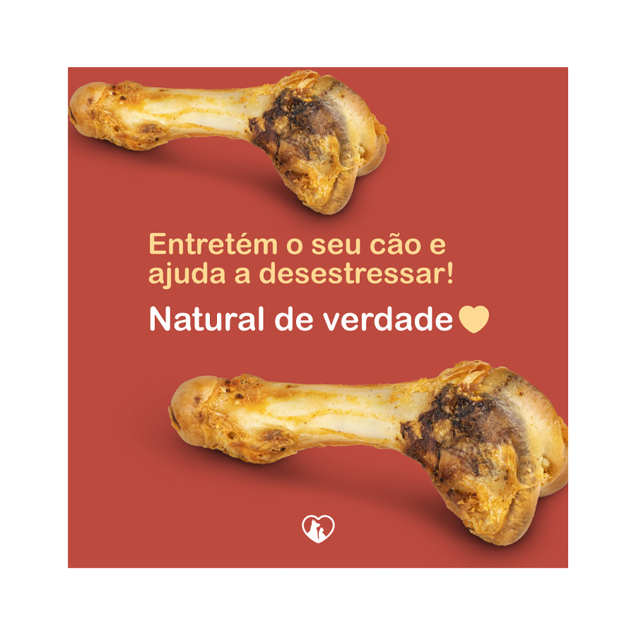 Osso para cachorro roer: encontre aqui o ideal | Petz